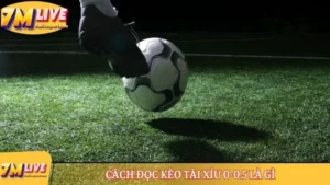 Kèo tài xỉu 0-0.5 là gì