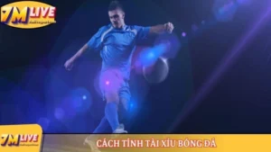 Cách tính tài xỉu bóng đá