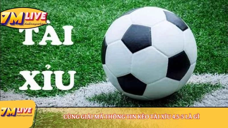 Cùng giải mã thông tin Kèo Tài Xỉu 4.5-5 là gì