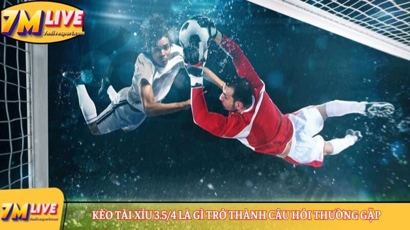 Kèo Tài Xỉu 3.5/4 là gì trở thành câu hỏi thường gặp